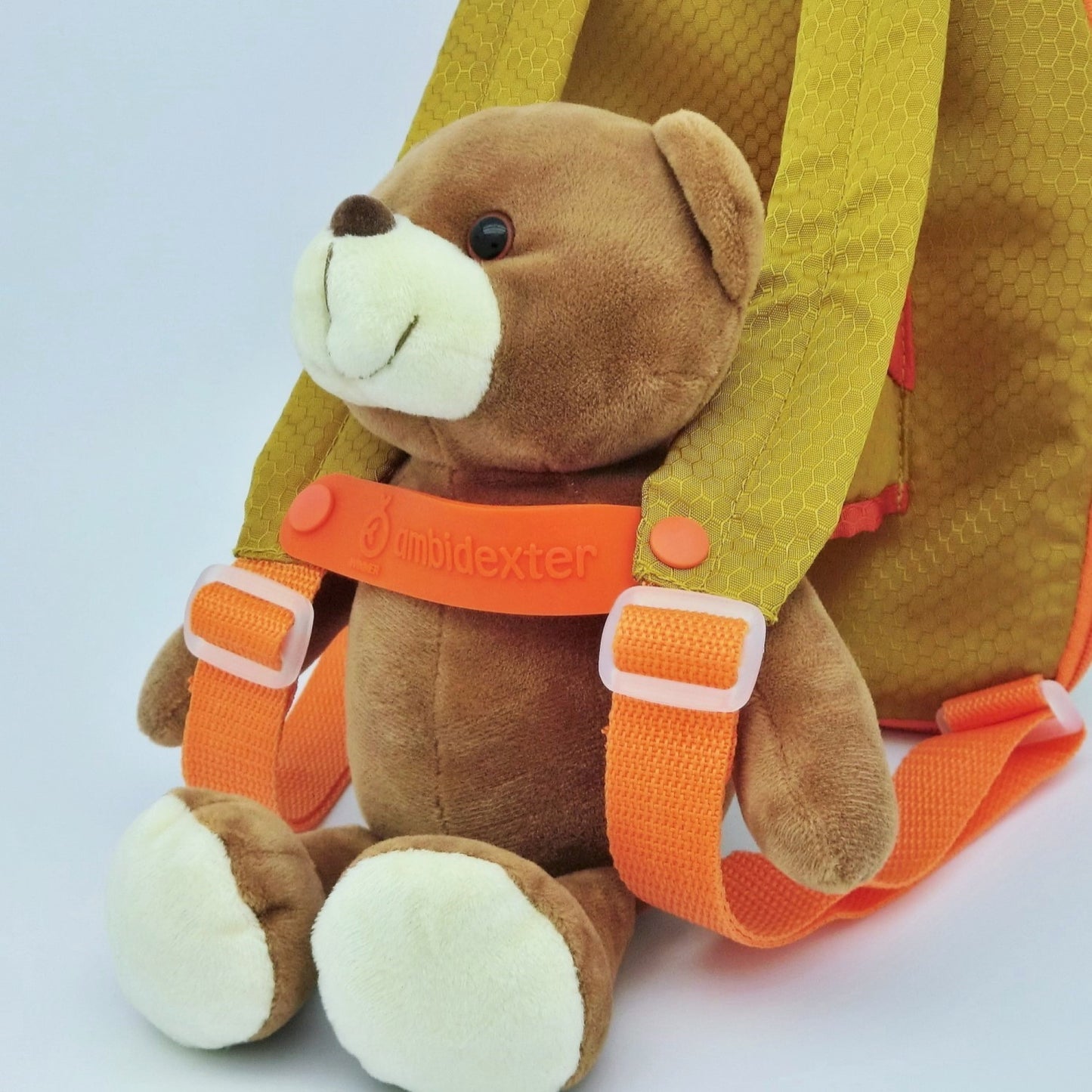 3 in 1 Dual Face Bear Backpack 3 in 1