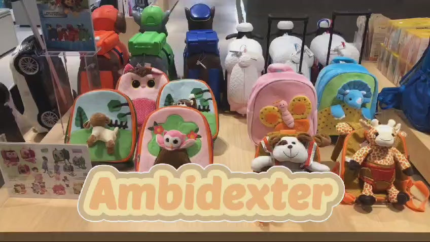 Load video: 